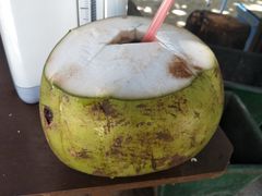 -东姑阿都拉曼海洋公园
