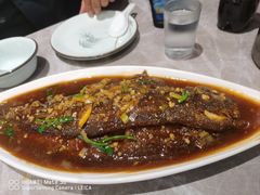 -九龙餐厅(大沽路店)