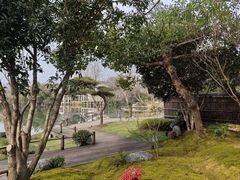 -新荣记(西溪湿地店)