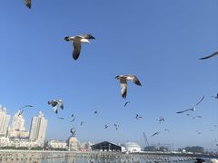 -星海广场