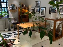 -一尺花园(安和花园店)