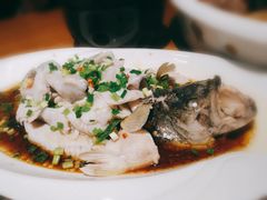 清蒸鲈鱼-周锦记广式餐厅