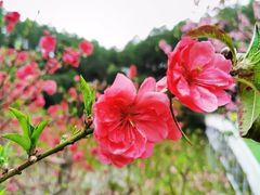 -清远静山湖景区