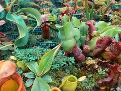 -国家植物园南园