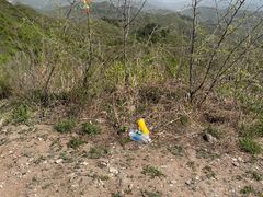 -蟠龙山长城景区