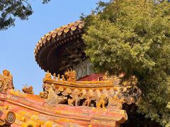 -故宫博物院(故宫)
