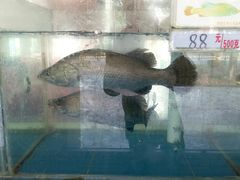 -源海渔村·现捞海鲜(大角湾店)