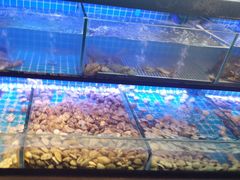 -透明思烤·自助烤肉海鲜火锅(东部星悦天地店)