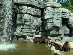 -北京野生动物园