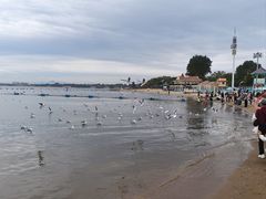 -老虎石海上公园