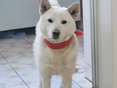 -物美超市(三里河店)