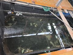 -蓝湾碧波·老字号·疍家非遗海上餐厅