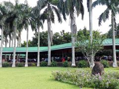 -侯臣咖啡文化村