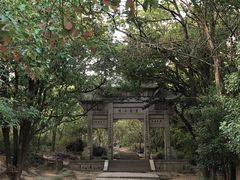 -灵岩山风景区