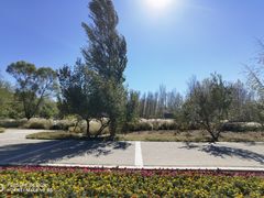 -野鸭湖国家湿地公园