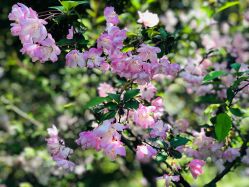 -杰爱月子护理中心