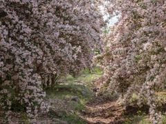 -永定河休闲森林公园