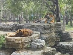 -秦皇岛野生动物园