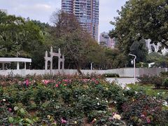 -人民公园(罗湖区)