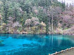 -九寨沟爱情海景区
