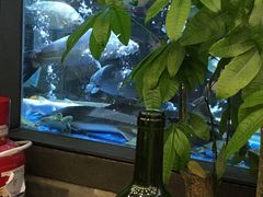 -客家汇·客家传承菜(水库店)