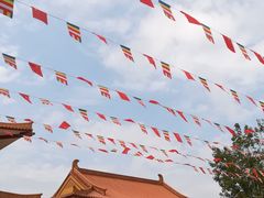 -三水森林公园