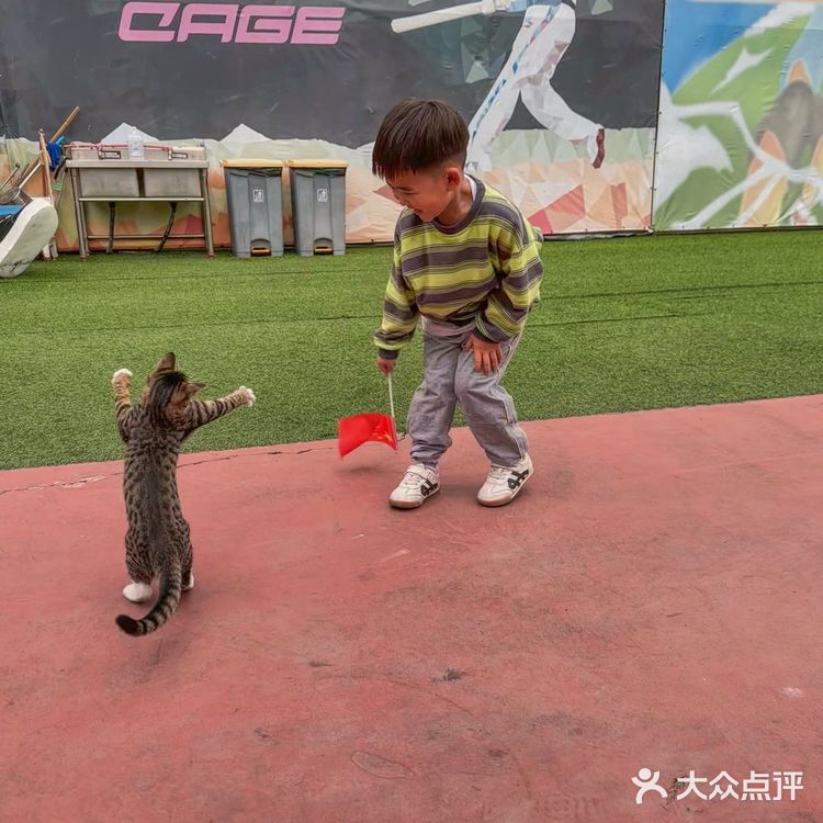 深圳探店｜街头氛围十足的棒球🥎咖啡馆～