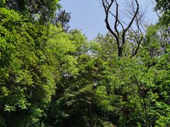 -青龙山国家森林公园