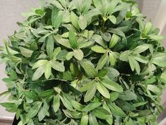 -如家酒店·neo(北京传媒大学西门传媒地铁站店)