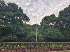 -黄兴公园