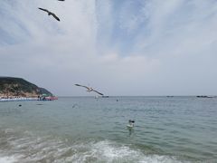 -棒棰岛宾馆景区