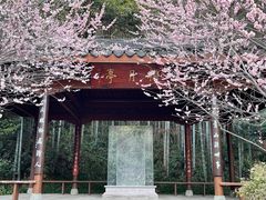 -杭州植物园
