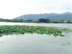 -长田漾湿地公园