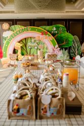 -爱丽馨御景月子中心