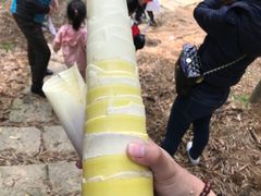 -宁波浙东大竹海景区