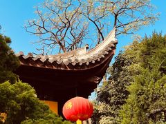 -龙华寺