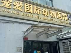 -宠爱国际动物医院·疑难骨科·心肾内科·皮肤科(太阳宫店)