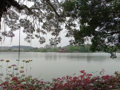 -惠州西湖