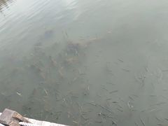 -太湖湖滨国家湿地公园-停车场