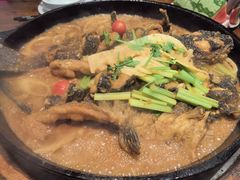 -老板恋上鱼(印象城店)