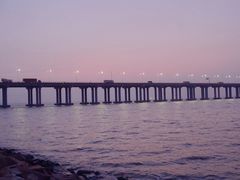 -宝安西湾红树林湿地公园