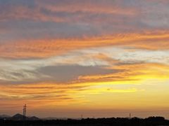 -日照海滨国家森林公园