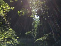 -牛背梁国家森林公园