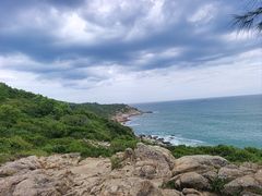 -广东惠东海龟国家级自然保护区