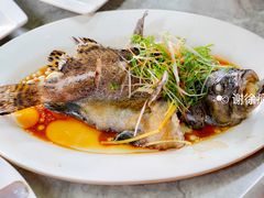 -四川小胡子海鲜(丁村万人海鲜广场店)