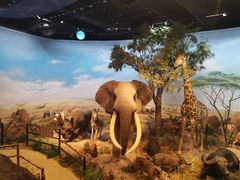 -陕西自然博物馆