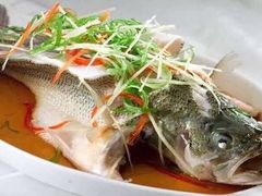 -隐山栖(鸿泰佳园店)