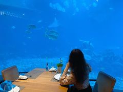 -海棠湾洲际-涛·海底餐厅·美人鱼·自助餐·海底隧道