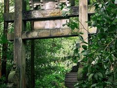 -凤栖山
