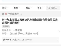 -上海西上海奥杰奥迪汽车销售有限公司(真如店)